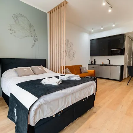 Kaleo Fr * شتشيتسين