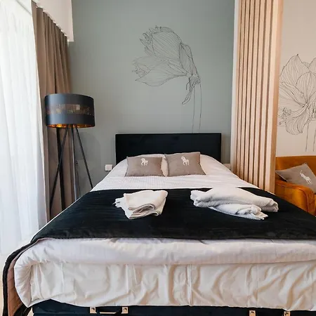 Apartman Hanza Sky *